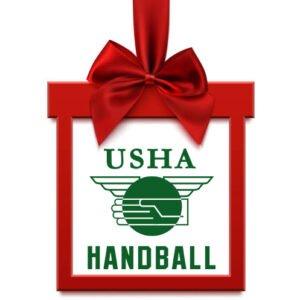 Holiday Combo Deal (8 Handballs and 2 pairs of gloves)